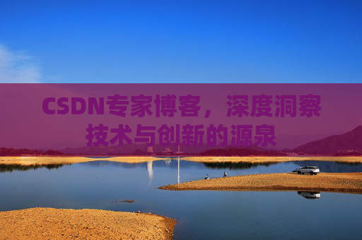 CSDN专家博客，深度洞察技术与创新的源泉